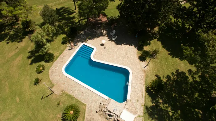 aerial photo of swimming pool with green leafed trees