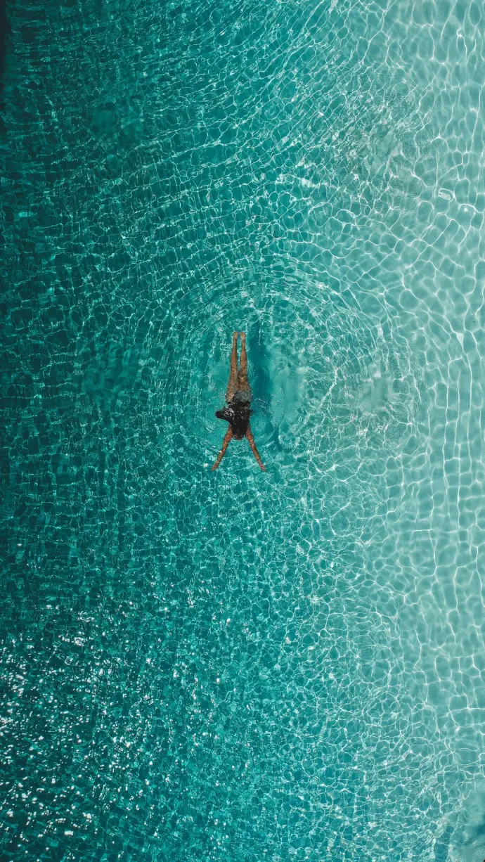 a bug on a surface